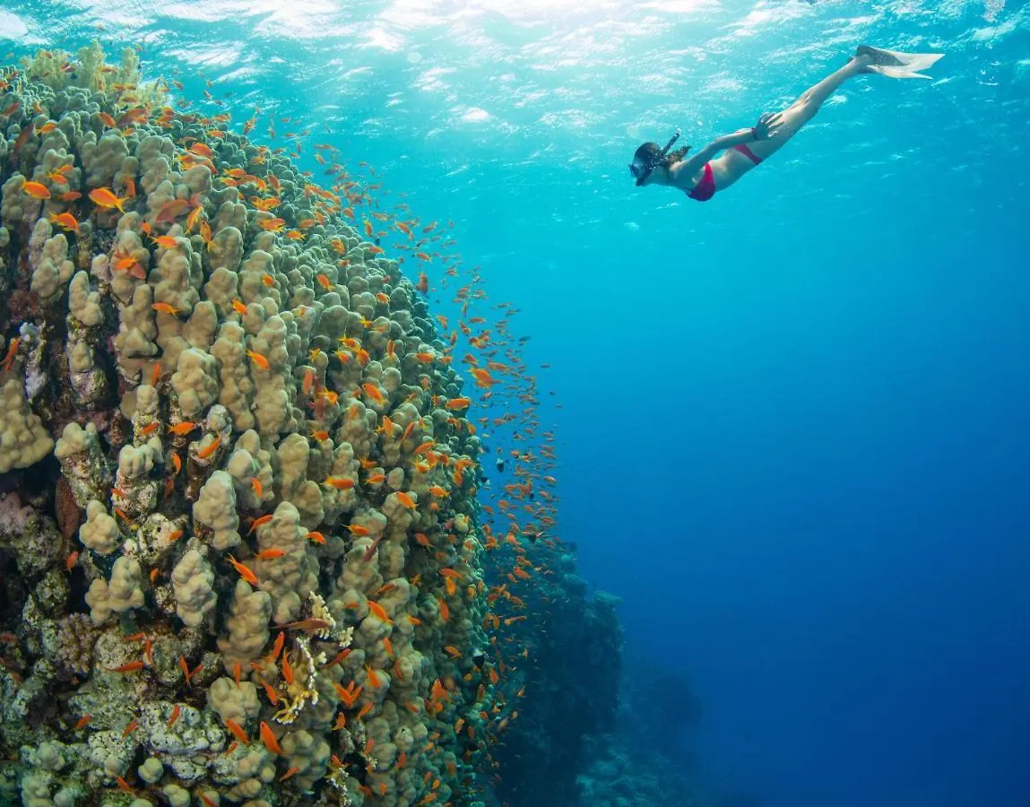 Casa de Férias Sands Of Kahana 316 Estados Unidos da América